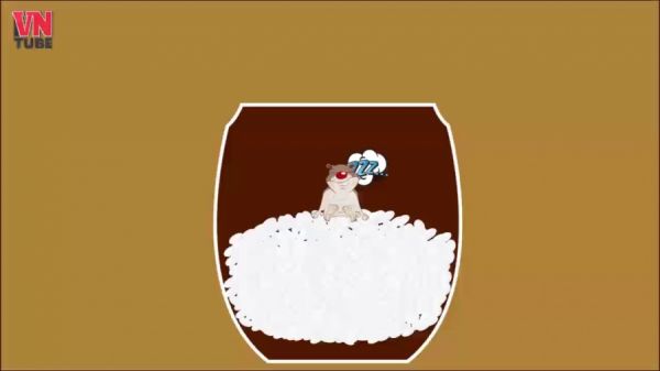 Nhấn vào ảnh để phóng to Chuột sa hũ gạo