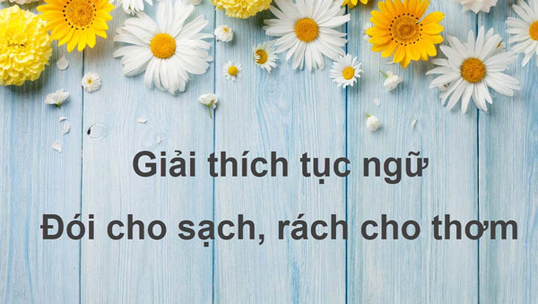  Giải thích tục ngữ 