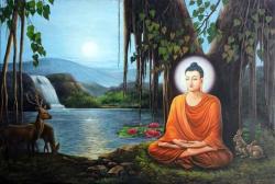 Cuộc đời và những triết lý của Đức Phật Thích Ca Mâu Ni